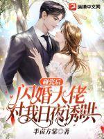 碰瓷后,闪婚大佬对我日夜诱哄